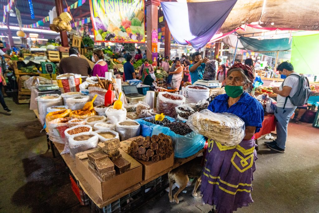oaxaca bike market tour