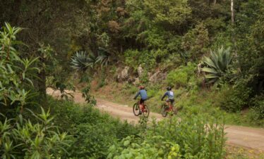 Oaxaca Cultural tour (2-3 days): Discover Oaxaca by bike (Rides only)