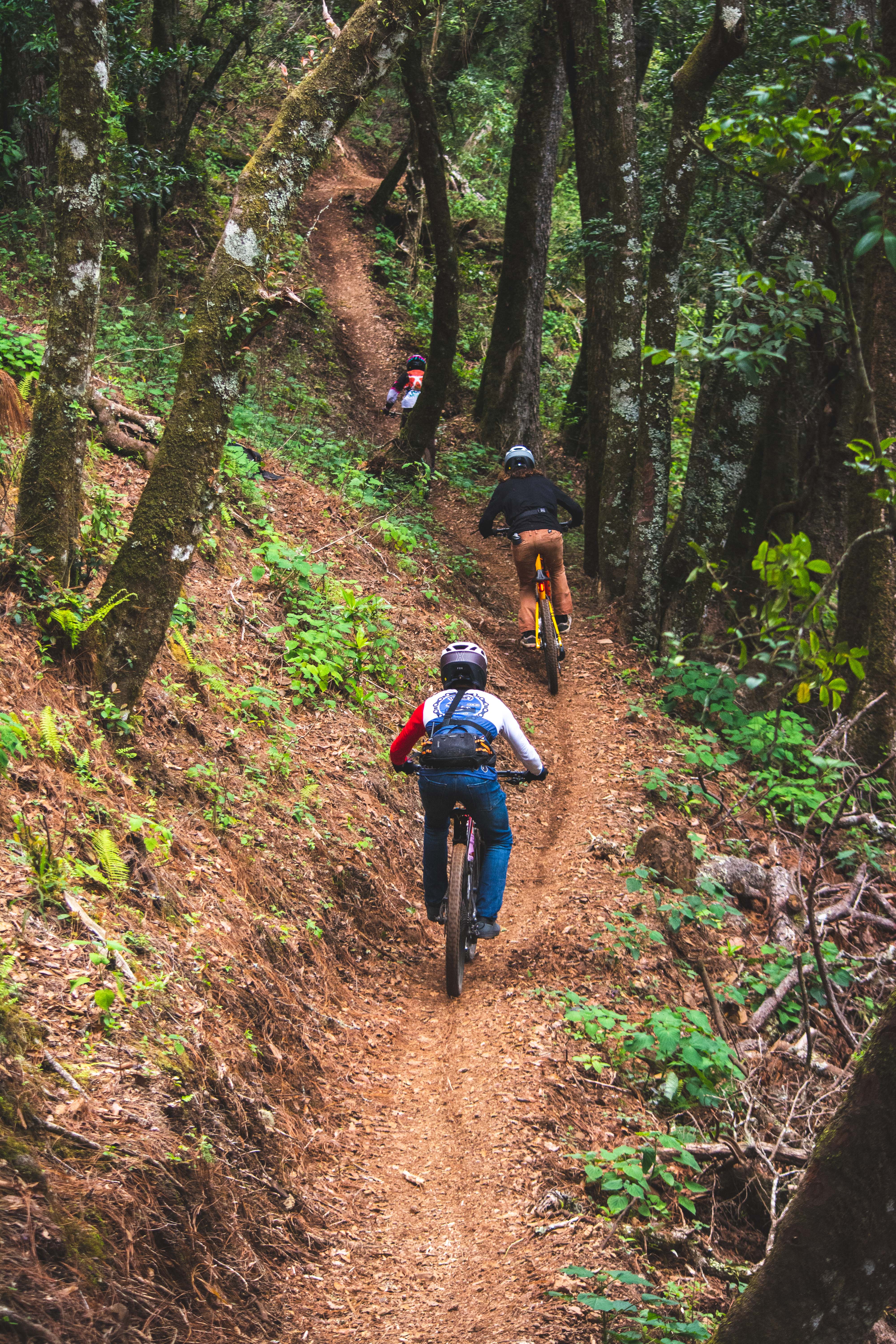 ixtepeji enduro bike flow 5